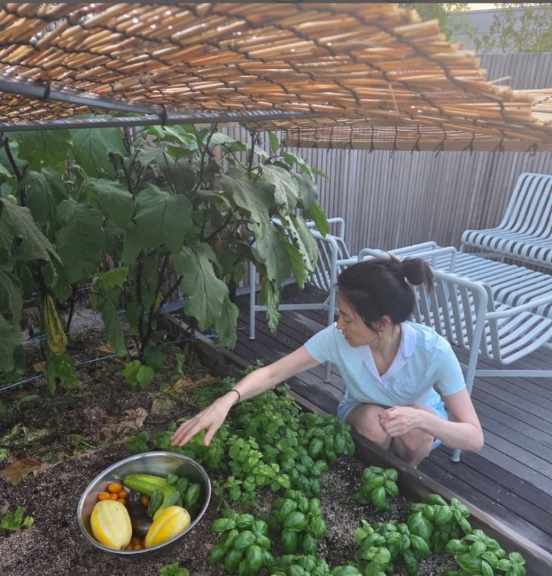 이영애, 살 안 찌는 이유?…'대장금' 손맛 담긴 건강 밥상