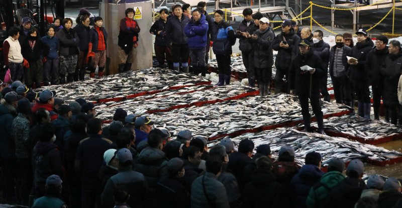 부산 서구 부산공동바카라 꽁 머니에서 중도매인들이 힘찬 손짓으로 새해 첫 수산물 경매를 진행하고 있다. 2025.1.2/뉴스1 ⓒ News1 윤일지 기자