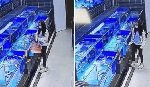 중국의 한 여성이 마트 수산 코너에서 수조 안의 실시간 바카라사이트를 밖으로 꺼낸 뒤 짓밟는 모습. /사진=중국 홍성신문 갈무리