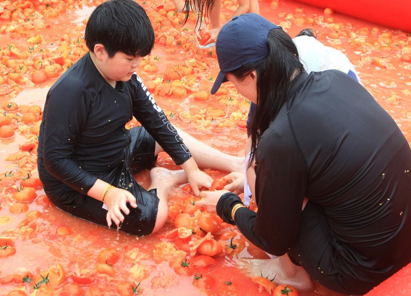 [횡성=뉴시스] 이덕화 기자 = 14일 강원 횡성군 대표 여름축제인 '둔내고랭지토마토축제'가 개막한 가운데 축제장을 찾은 관광객들이 '황금반지'를 찾기 위해 토마토풀장에서 즐거운 시간을 보내고 있다. 2025.08.14. wonder8768@newsis.com