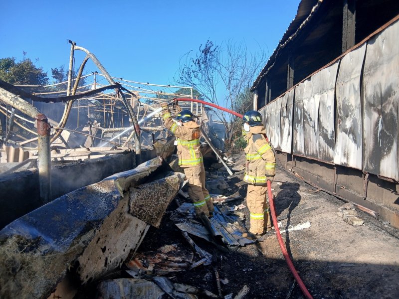 화재가 난 돈사 (출처=연합뉴스)