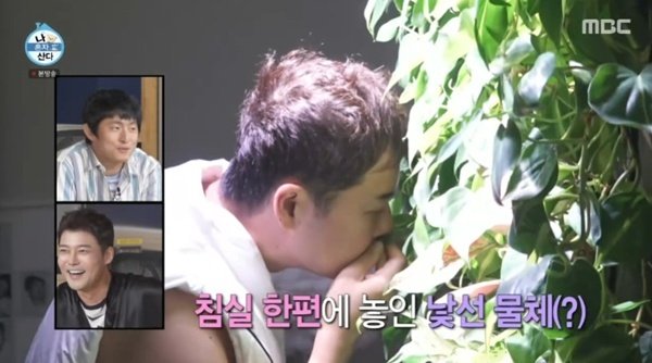 전현무 "매달 돈 내고 식물 방문 관리"…침실 벽면 로망 실현