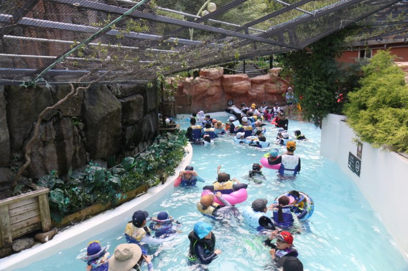 4계절 언제나 따뜻한 국내 최대 규모의 실내 파도풀(롯데워터파크 제공)