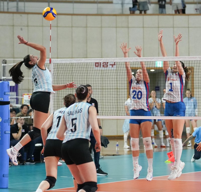 여자배구 아르헨티나와 체코의 경기 장면 (출처=연합뉴스)