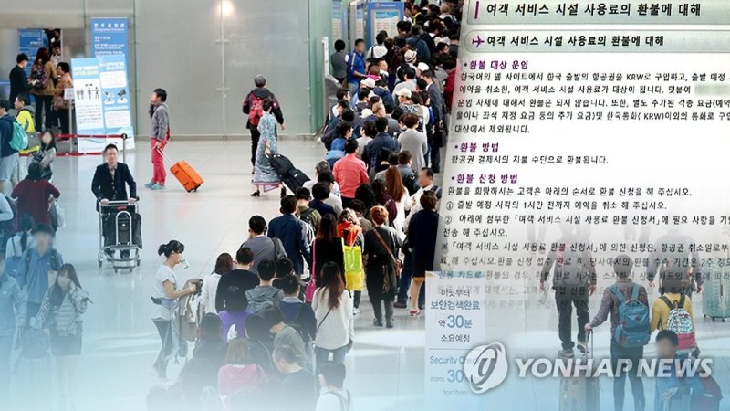 항공 여객 피해(CG) (출처=연합뉴스)