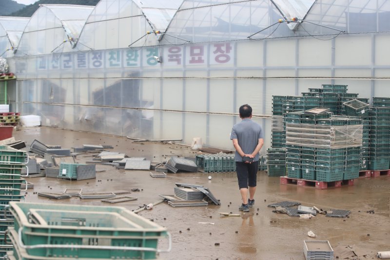 폭우 안전 바카라사이트가 발생한 지난 7월 16일 충북 괴산 불정면에 위치한 폭우 안전 바카라사이트 안전 바카라사이트에서 농민이 안전 바카라사이트를 입은 시설물을 바라보고 있다. 뉴스1