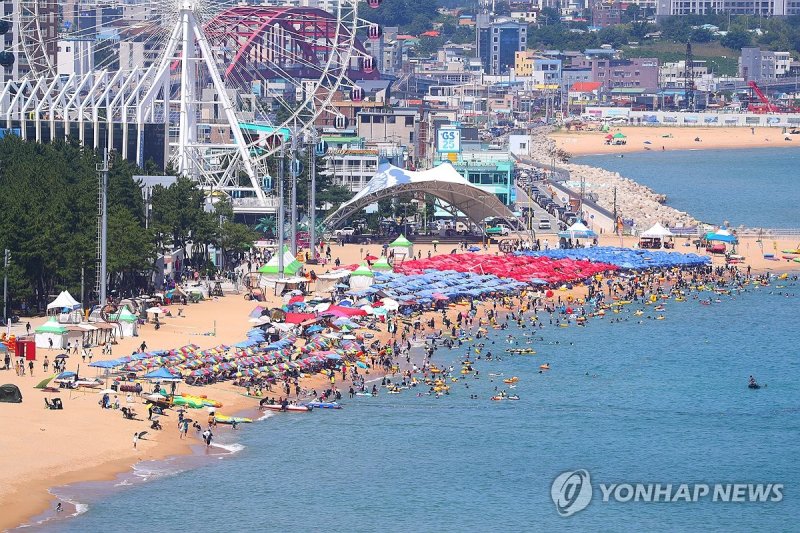 폭염을 피해 바다로 (출처=연합뉴스)
