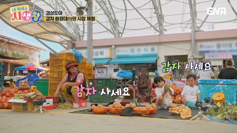 씨름선수 박정우 5세 딸 박도아, 시장에서 직접 딴 감자 완판 [RE:TV]