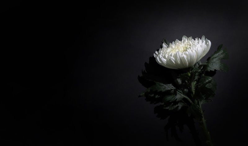 [부고] 이민재 씨(이투데이 사회부 기자) 별세