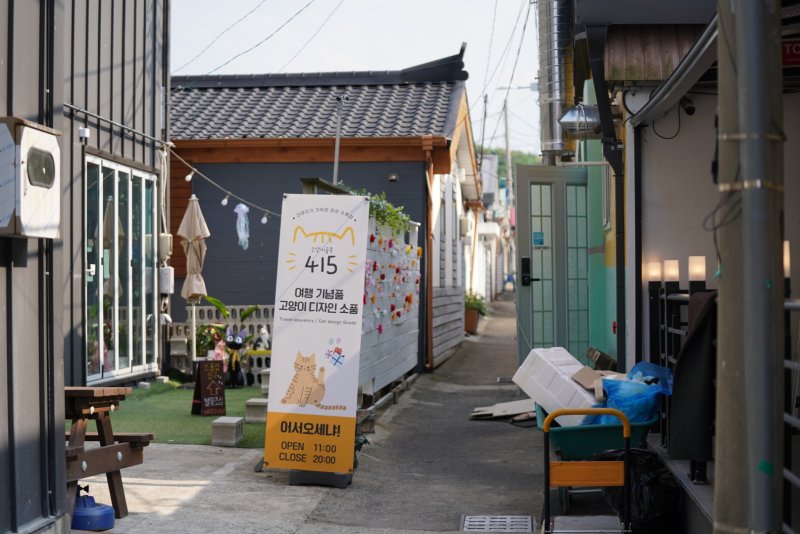 강원 속초 조양동 새마을 일대.(속초시 제공, 재판매 및 DB 금지) 2025.8.19/뉴스1