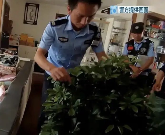 [뉴시스]현장에 출동한 경찰이 거실 곳곳을 수색하며 화분 속에 숨어 있던 뱀을 찾아 내는 모습.(사진=지무신문)