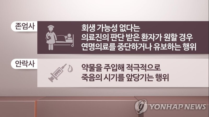 존엄사 안락사 설명 (CG) (출처=연합뉴스)
