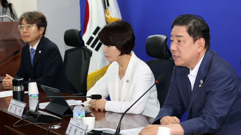 새정부 경제성장전략 당정협의가 20일 국회에서 열렸다. 더불어민주당 김병기 원내대표가 발언하고 있다. 사진=서동일 기자