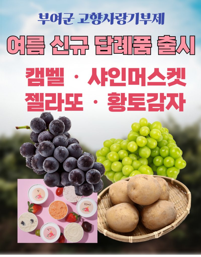 고향사랑기부제 신규 답례품 포스터.(부여군 제공. 재판매 및 DB금지)/뉴스1