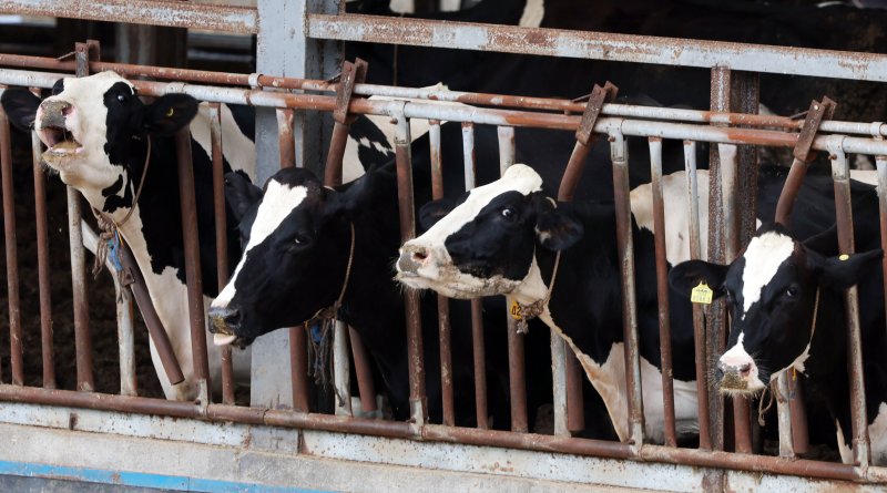 (사진은 기사 내용과 무관함) / 뉴스1 ⓒ News1