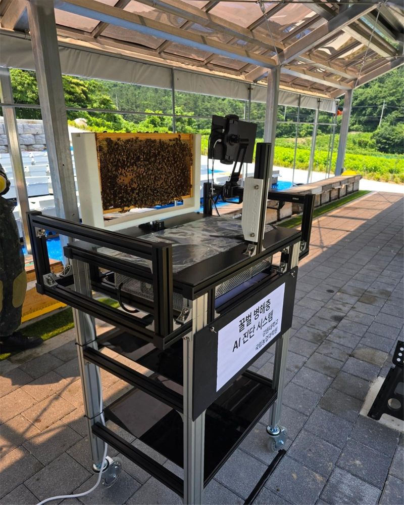 ‘꿀벌응애 실시간 검출장치’(BeeSion) 모습. 농진청 제공