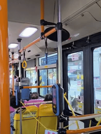 "피청구인 대통령 윤석열을 파면한다" 주인공이 버스정류장에?!