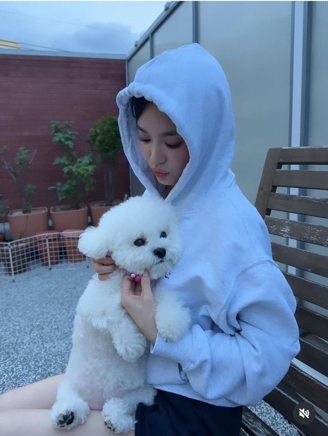 다정한 송혜교, 반려견 루비 안고 편안한 일상 [N샷]