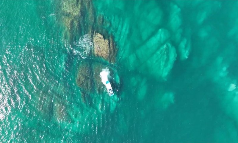 '나혼산' 이장우, 터질듯한 다이버 슈트핏…하재숙과 '듀공 남매'