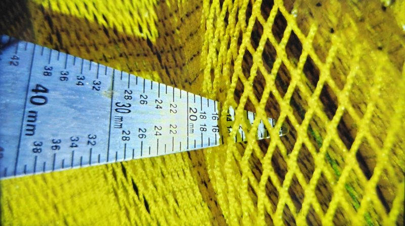 전북 군산에서 허가받지 않은 모기장 그물이라 불리는 '세목망(그물코 16㎜)' 그물을 사용해 조업을 한 멸치잡이 어선이 해경에 적발됐다.(군산해경 제공. 재판매 및 DB금지)