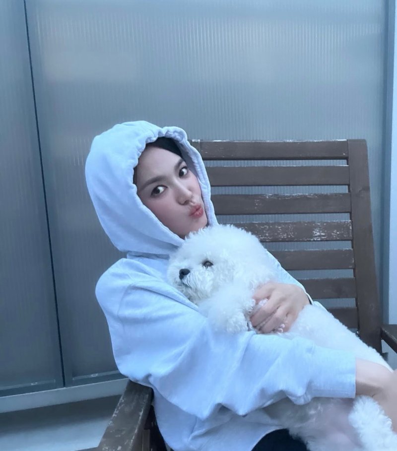 송혜교 44세 나이 무색한 귀여운 매력…민낯 미모에 감탄