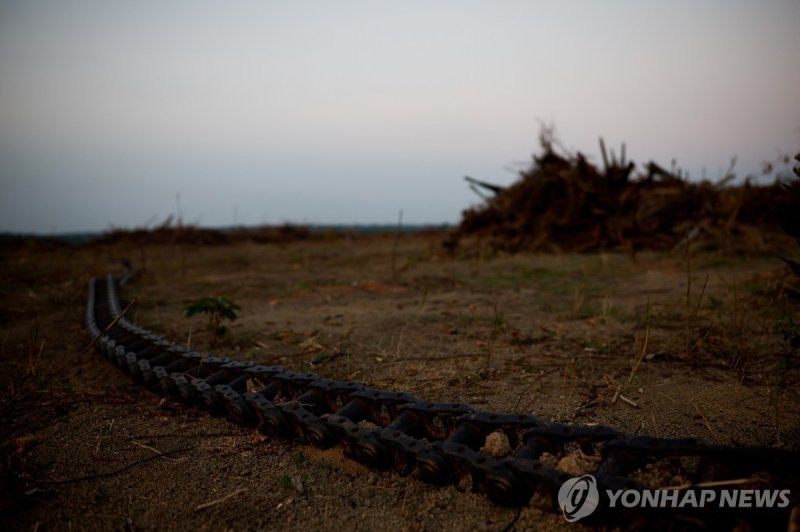 브라질 대두 경작지.연합뉴스