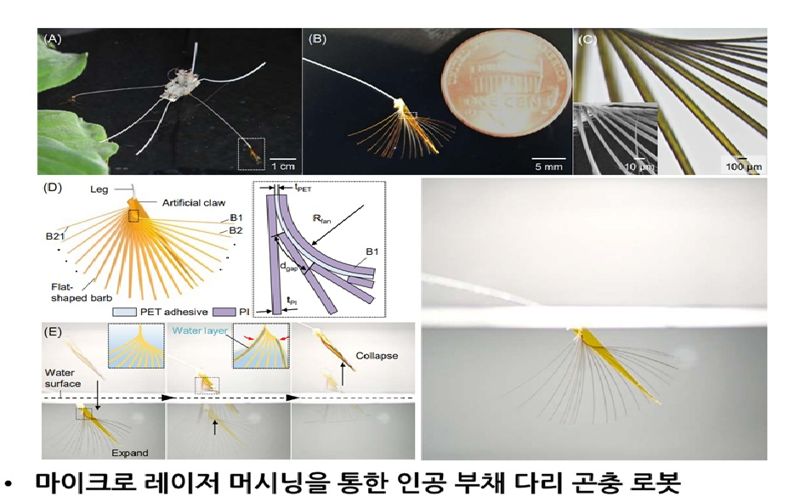 국내 연구진, 소금쟁이 비밀 풀었다…초소형 로봇으로 구현 성공