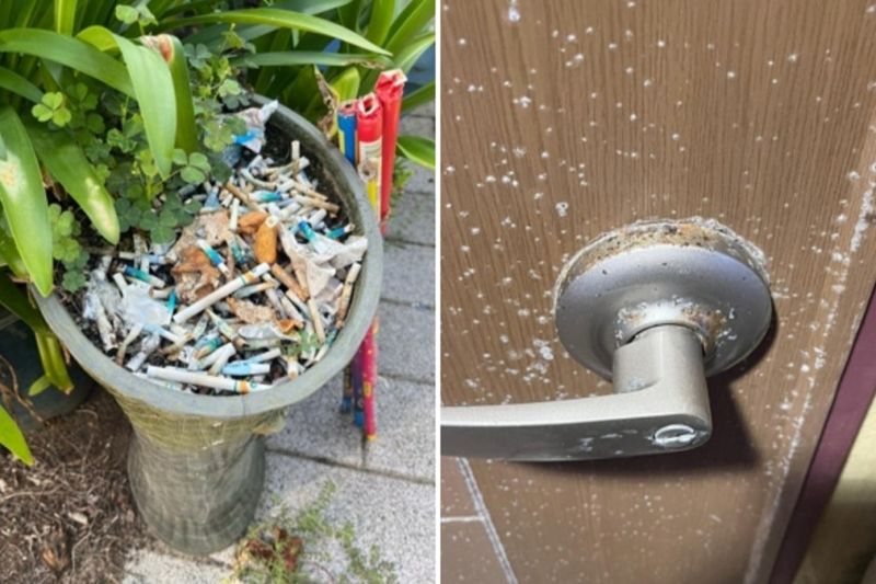 제주 펜션 위생 ‘충격 실태’…24만원 내고 곰팡내·담배꽁초 맞이