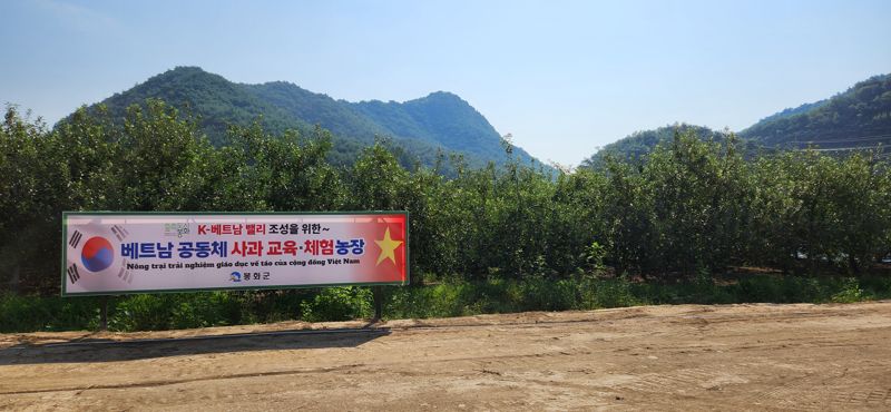 소멸하는 지방을 되살리기 위한 절박한 생존전략으로 봉화군이 추진 중인 'K-베트남 밸리' 조성을 위한 '베트남 공동체 사과 교육 및 체험 농장' 전경. 김장욱 기자