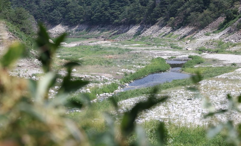 24일 강원 강릉시 주요 상수원인 오봉저수지와 일대 하천의 바닥이 드러나 있다. 2025.8.24/뉴스1 ⓒ News1 김성진 기자