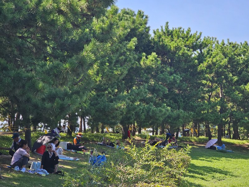 24일 오후 부산 다대포 해수욕장 해변공원을 찾은 시민들이 휴식을 취하고 있다. 2025.8.24 ⓒ 뉴스1 박민석 기자
