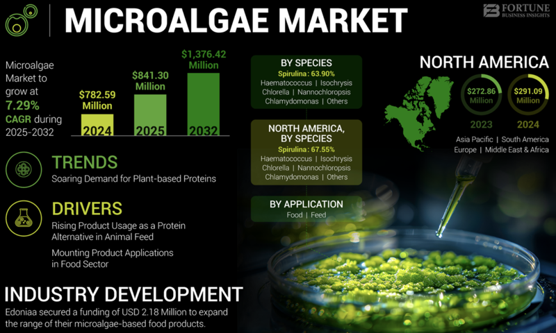 /출처=포춘비즈니스인사이트