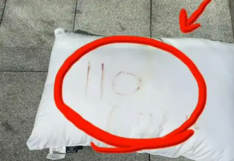 中 길가에 놓인 수상한 베개…피로 적힌 '110 625' 의미는?