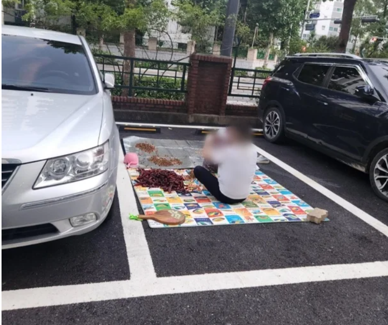 내 차 댈 건데 왜… 아파트 주차장서 고추 다듬는 중년女
