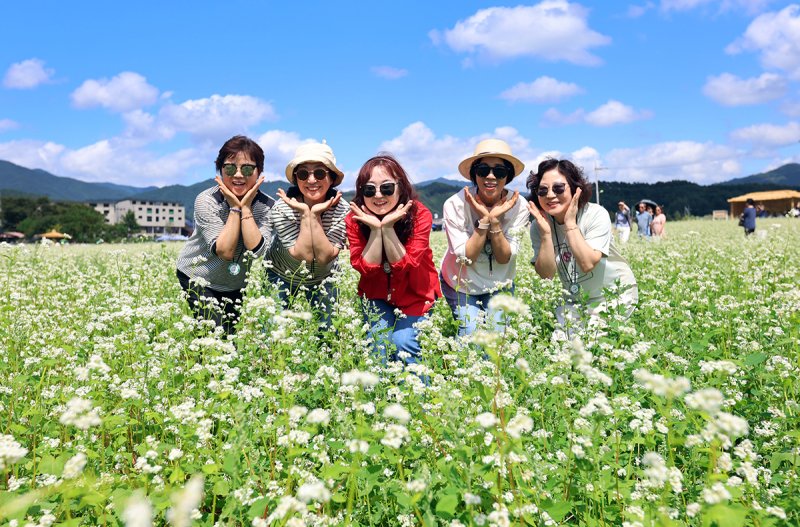 작년 평창효석문화제 자료 사진. (재판매 및 DB금지)/뉴스1