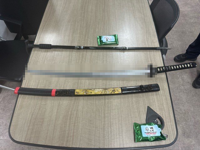 "신변 보호용" 1m 도검 차고 공원 활보한 70대男