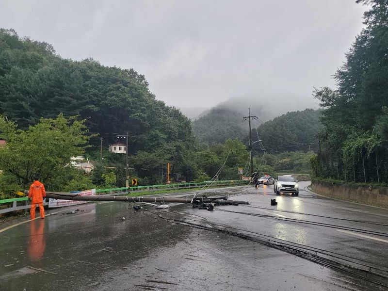 26일 오전 7시16분쯤 화천 사내면 도로에 전신주가 넘어져 소방당국과 경찰이 안전조치를 취하고 있다. 강원소방본부 제공