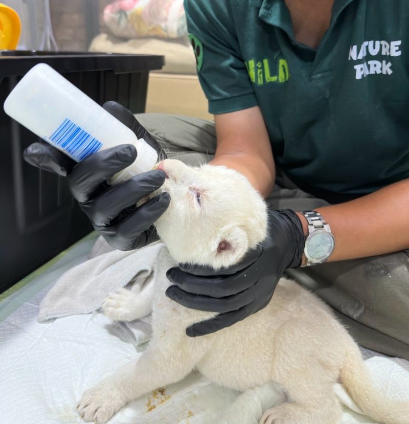 /사진=스파밸리 네이처파크 제공