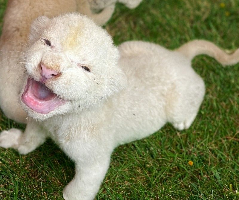 /사진=스파밸리 네이처파크 제공