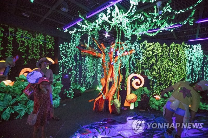무주 반딧불축제서 판타지관 (출처=연합뉴스)