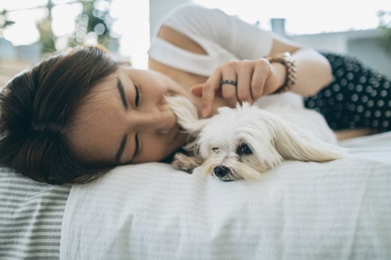 내 반려견은?…'사망률 2%' 인천 강화 강아지 성병, 사람에도 옮긴다