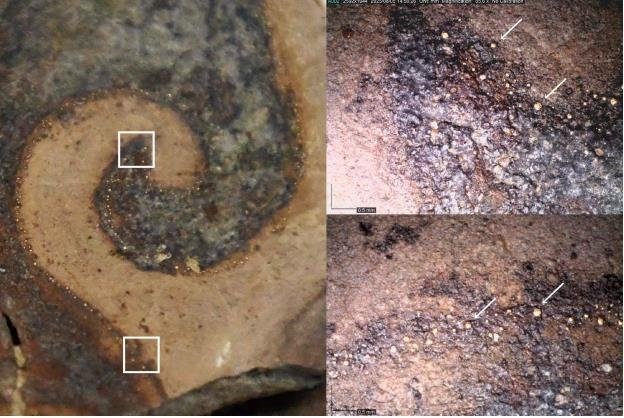 광배 조각의 화염문에 사용된 금니 세부 사진 (출처=연합뉴스)