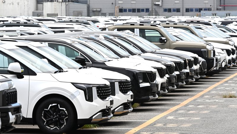 [평택=뉴시스] 김종택 기자 = 한미 관세협상이 타결된 31일 경기 평택시 포승읍 평택항 자동차 전용부두에 선적을 기다리는 수출용 차량이 세워져 있다. 2025.07.31. jtk@newsis.com