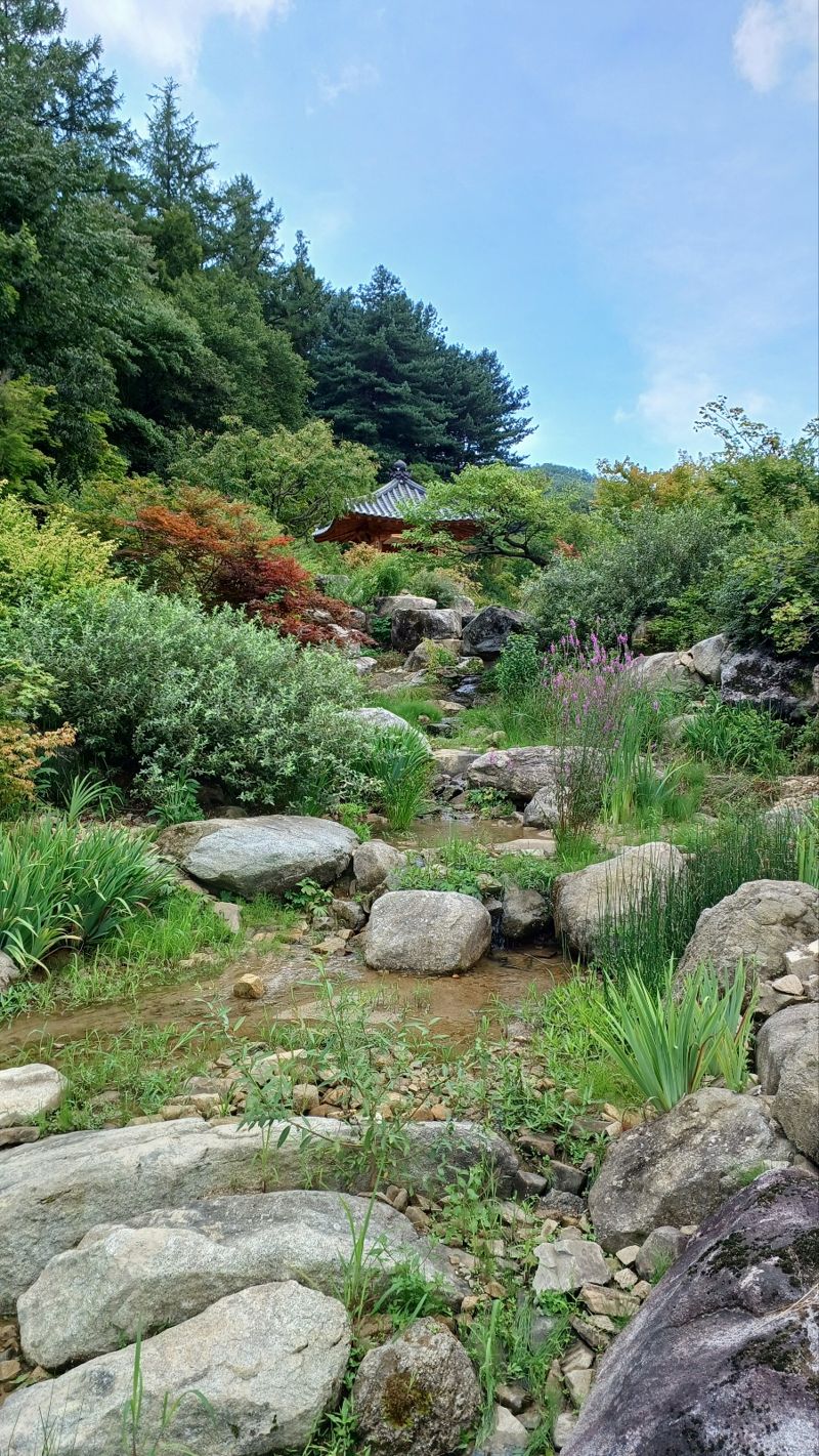 25t 트럭 300대 분량의 돌을 공수해 조성한 '메덩내'