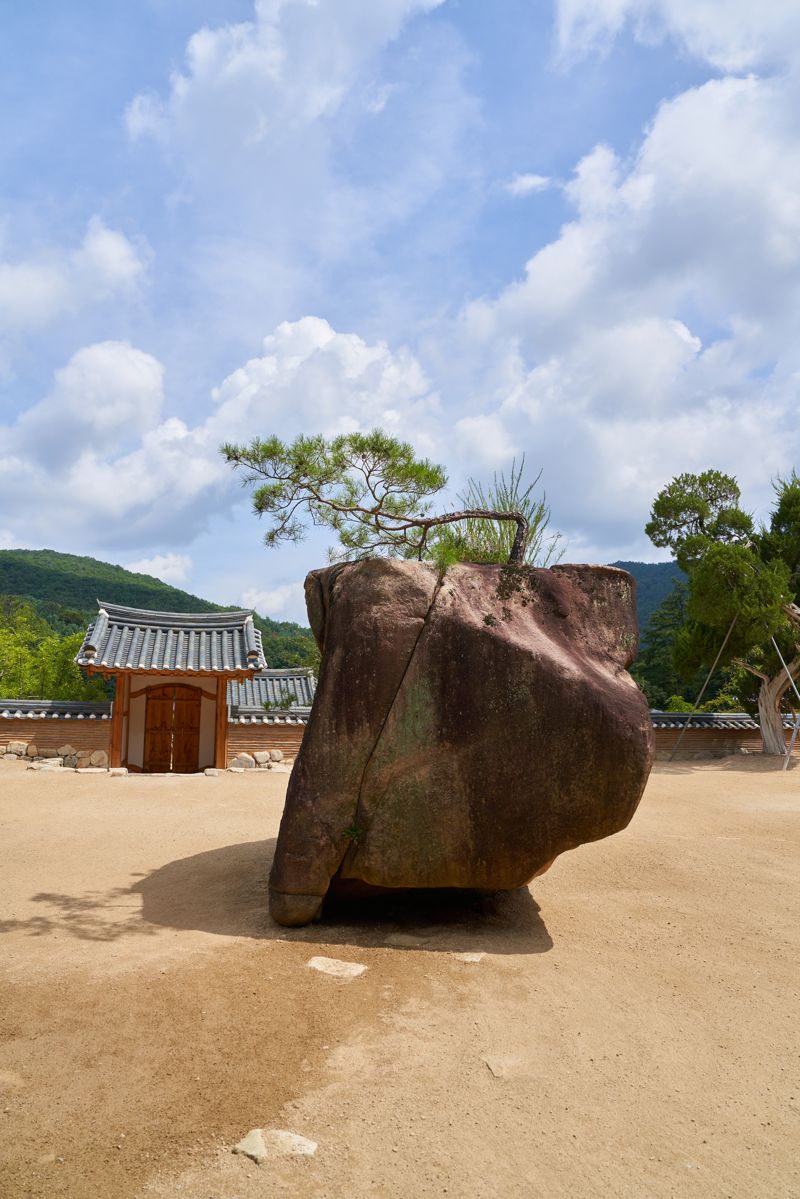 재예당 앞마당에 있는 물고기 모양의 '원주암'