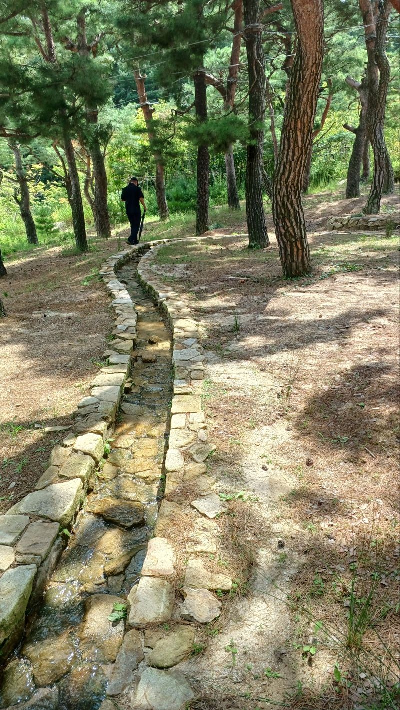 경주 솔밭에 조성된 '문파샘길'