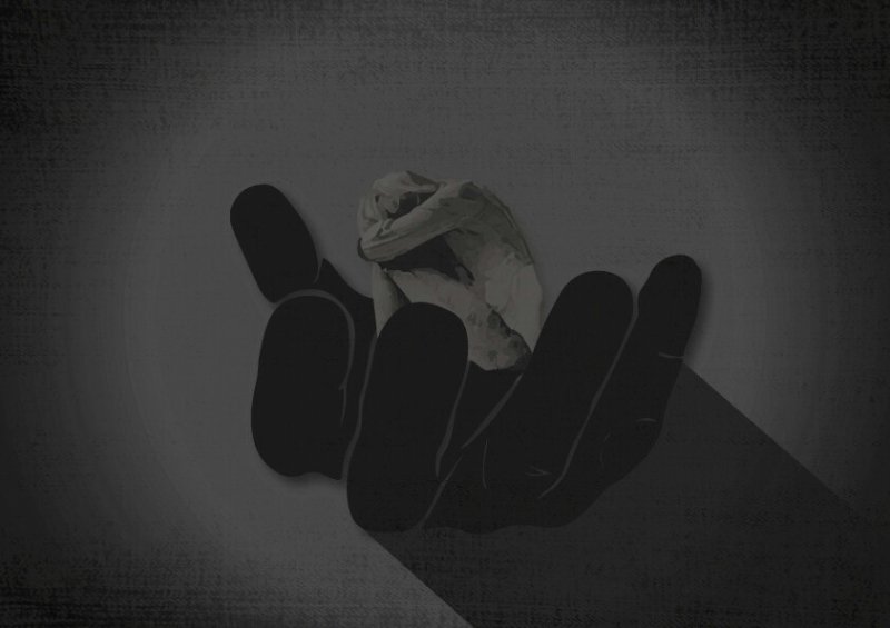 【뉴시스】그래픽 윤난슬 기자 (뉴시스DB)