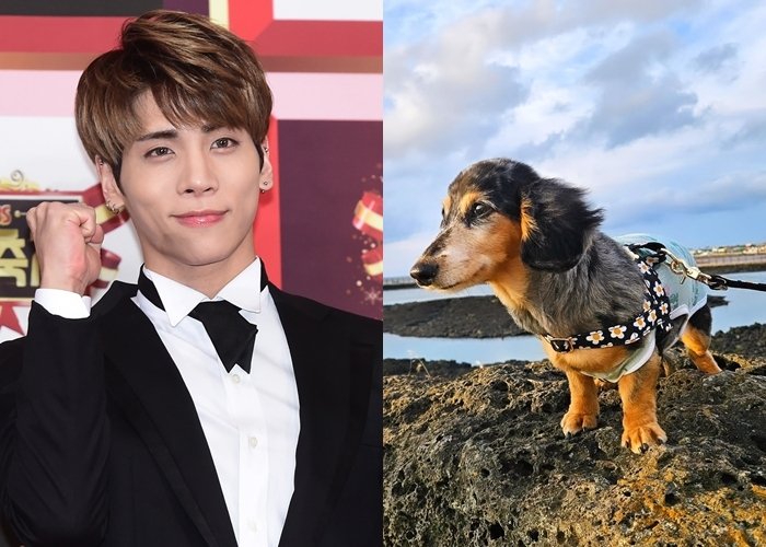 故종현 반려견, 무지개다리 건넜다…누나 덕분에 많이 힘내