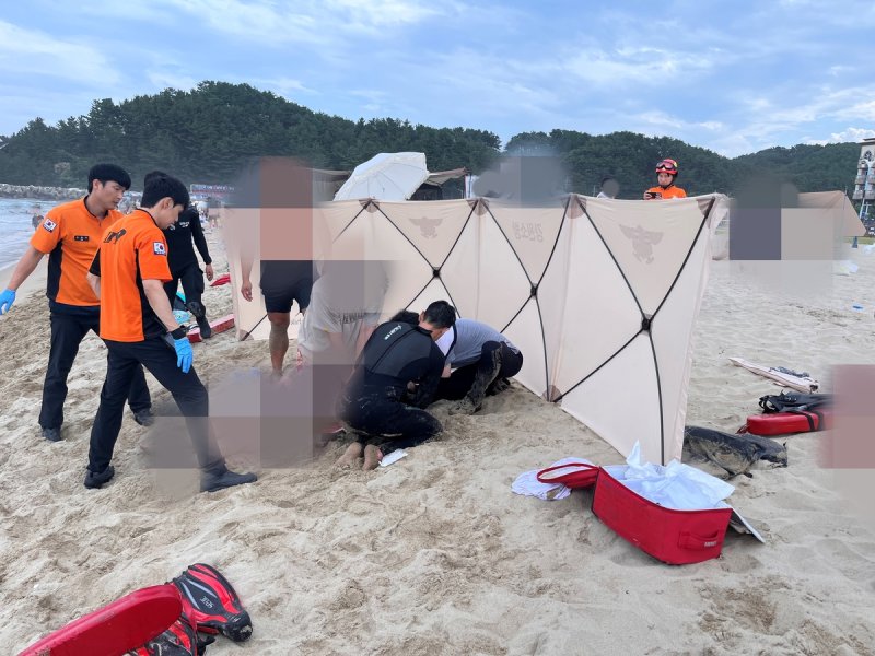 (출처=연합해외 바카라 사이트)