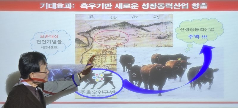 제주흑우 산업화 과정 설명하는 박세필 교수 (출처=연합뉴스)